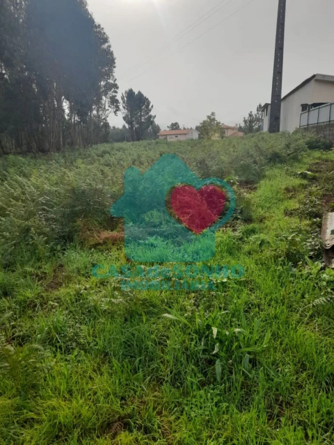 Terreno para Venda em Macinhata do Vouga