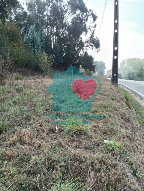 Moradia T3 para Venda em São João de Loure e Frossos