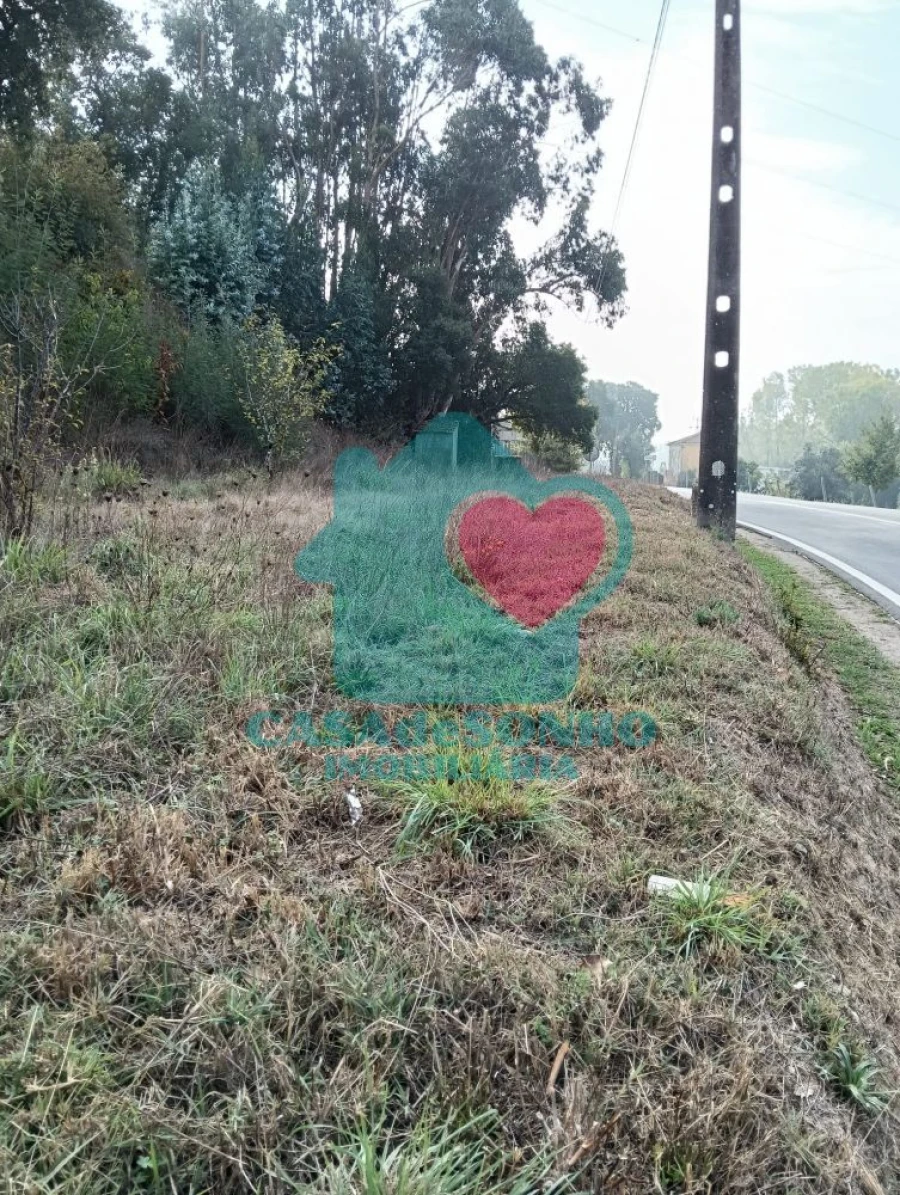 Moradia T3 para Venda em São João de Loure e Frossos Foto 26