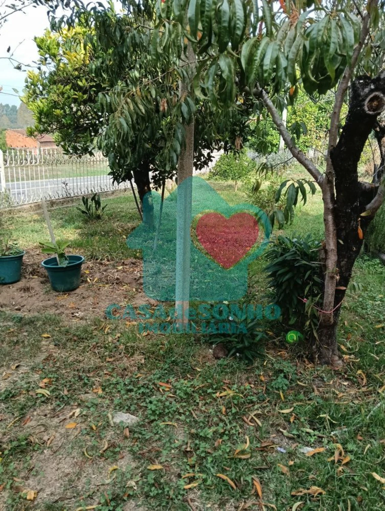 Moradia T3 para Venda em São João de Loure e Frossos Foto 25