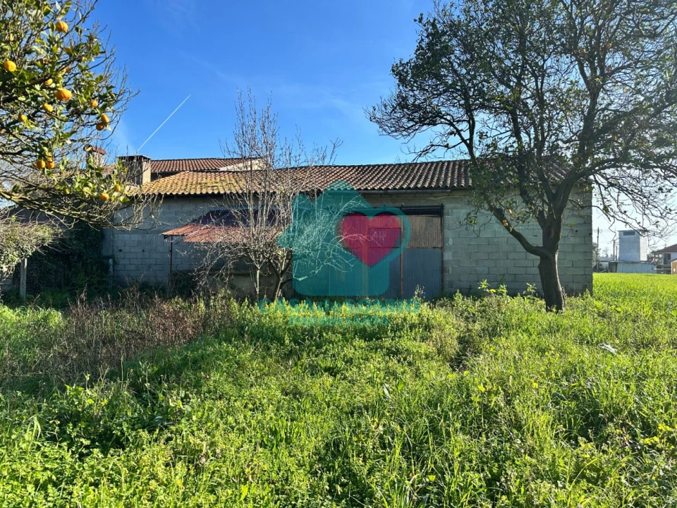 Moradia T3 para Venda em Alquerubim Foto 24