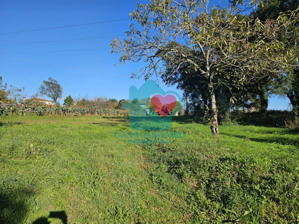 Moradia T3 para Venda em Alquerubim Foto 25