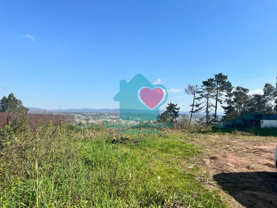 Terreno para Venda em Valongo do Vouga Foto 6