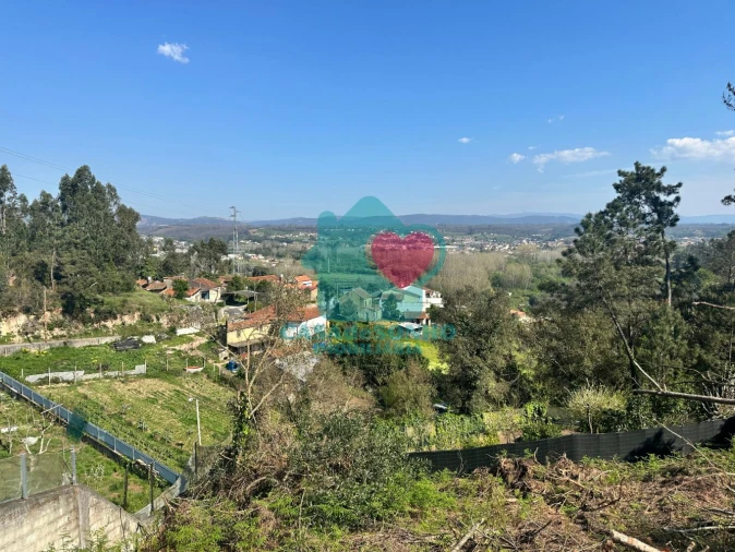 Terreno para Venda em Valongo do Vouga Foto 4