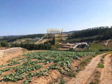Terreno para Venda em Miragaia e Marteleira