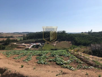 Terreno para Venda em Miragaia e Marteleira