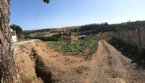 Terreno para Venda em Miragaia e Marteleira