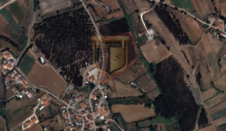 Terreno para Venda em Miragaia e Marteleira