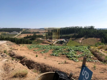 Terreno para Venda em Miragaia e Marteleira