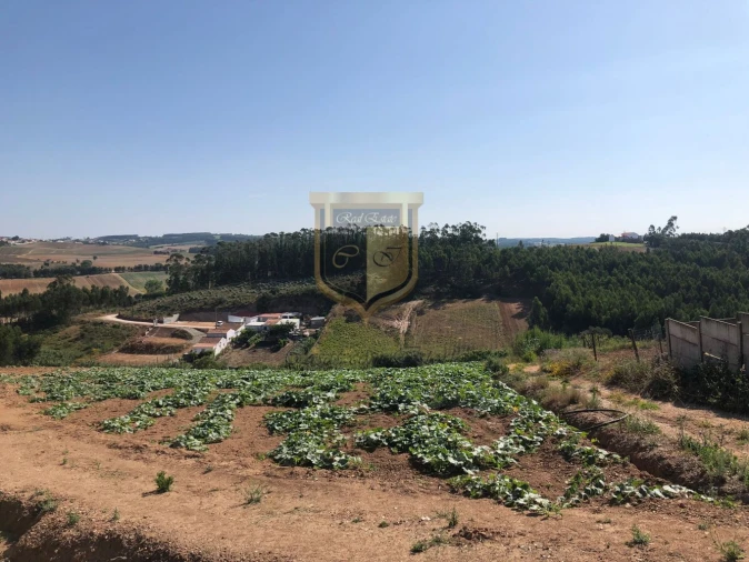 Terreno para Venda em Miragaia e Marteleira Foto 2