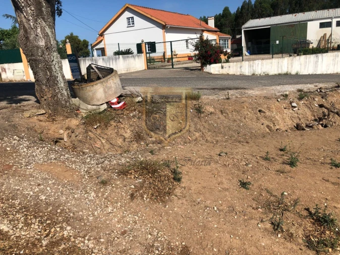 Terreno para Venda em Miragaia e Marteleira Foto 5