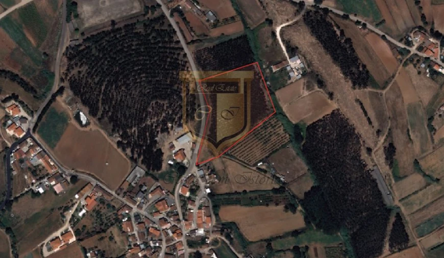 Terreno para Venda em Miragaia e Marteleira Foto 8