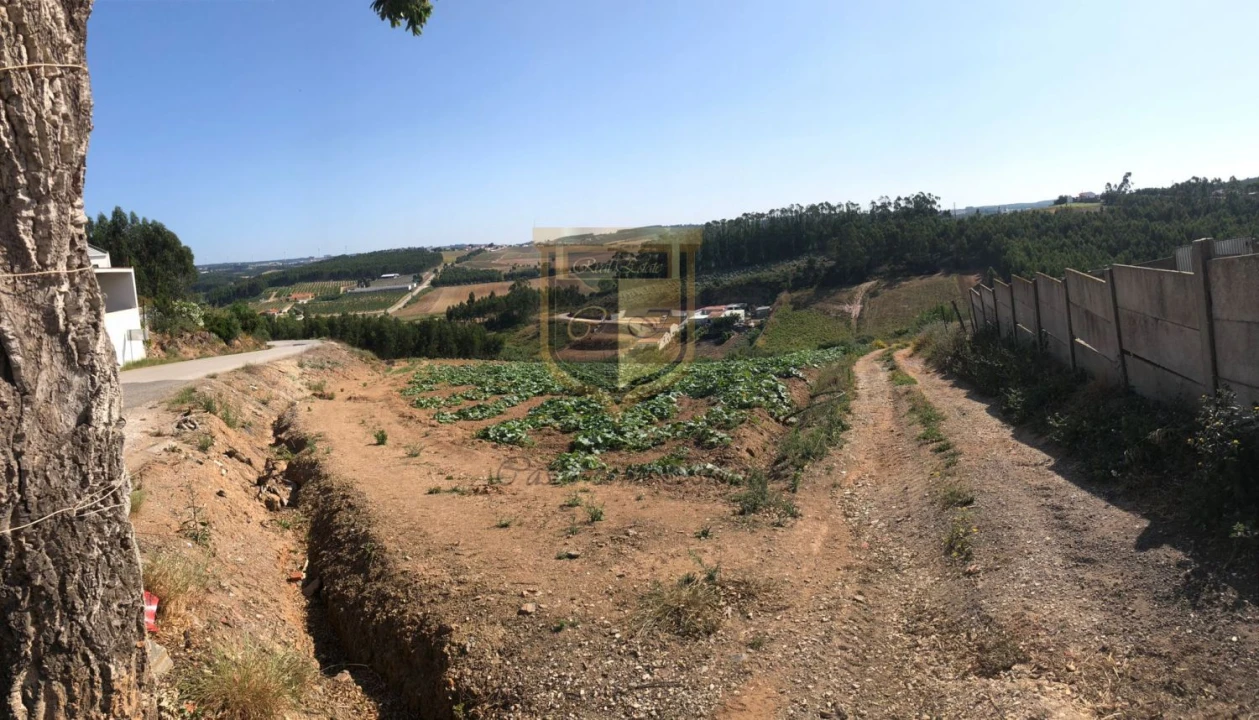 Terreno para Venda em Miragaia e Marteleira Foto 3