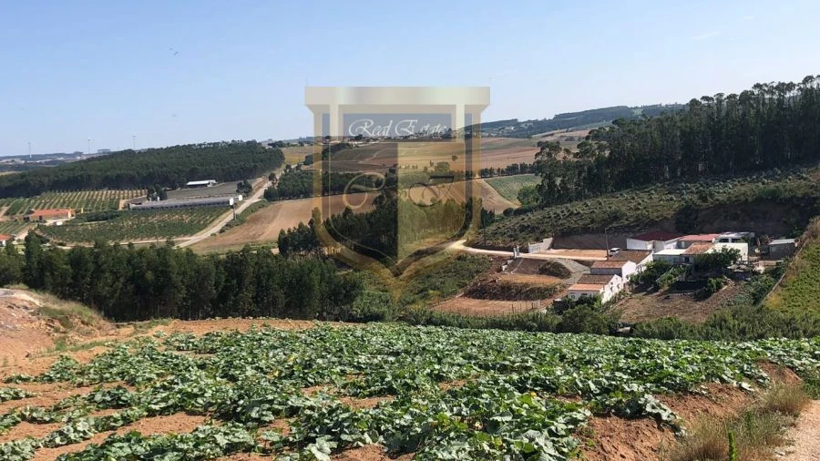 Terreno para Venda em Miragaia e Marteleira