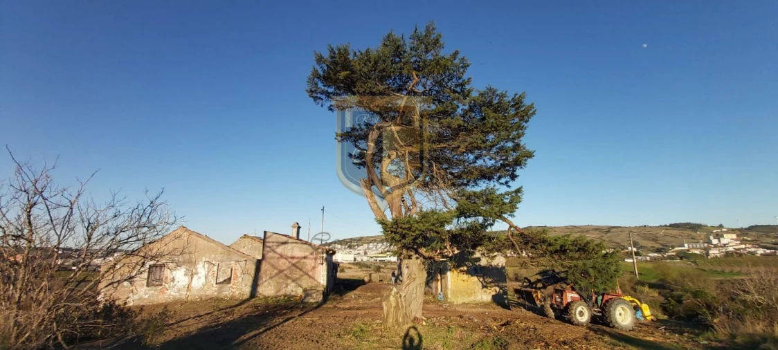 Quinta T6 para Venda em Santa Maria, São Pedro e Matacães Foto 2