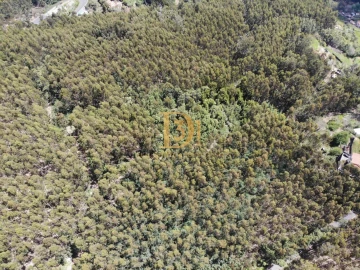 Terreno para Venda em Camacha