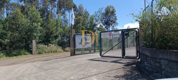 Terreno para Venda em Camacha