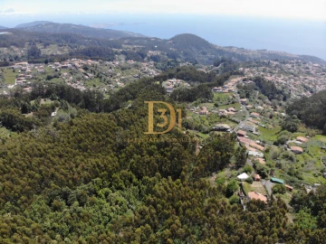 Terreno para Venda em Camacha