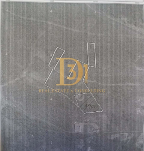 Terreno para Venda em Camacha