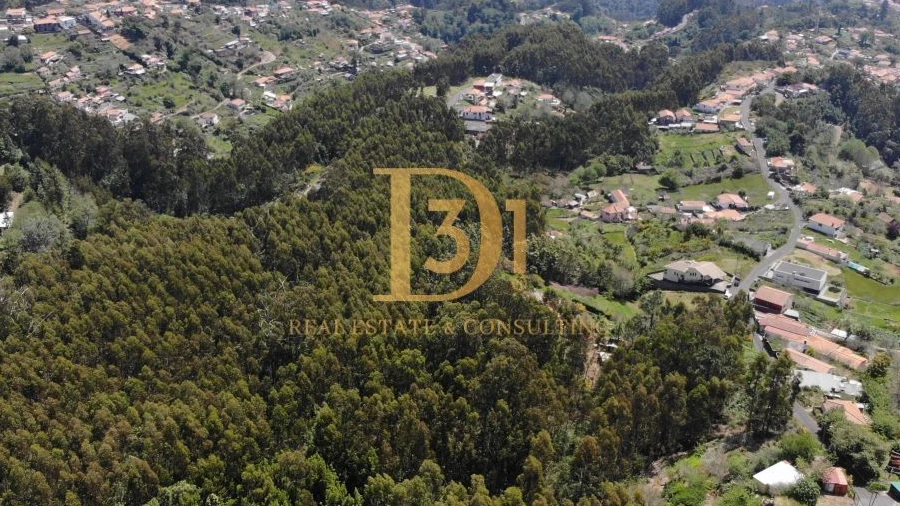 Terreno para Venda em Camacha