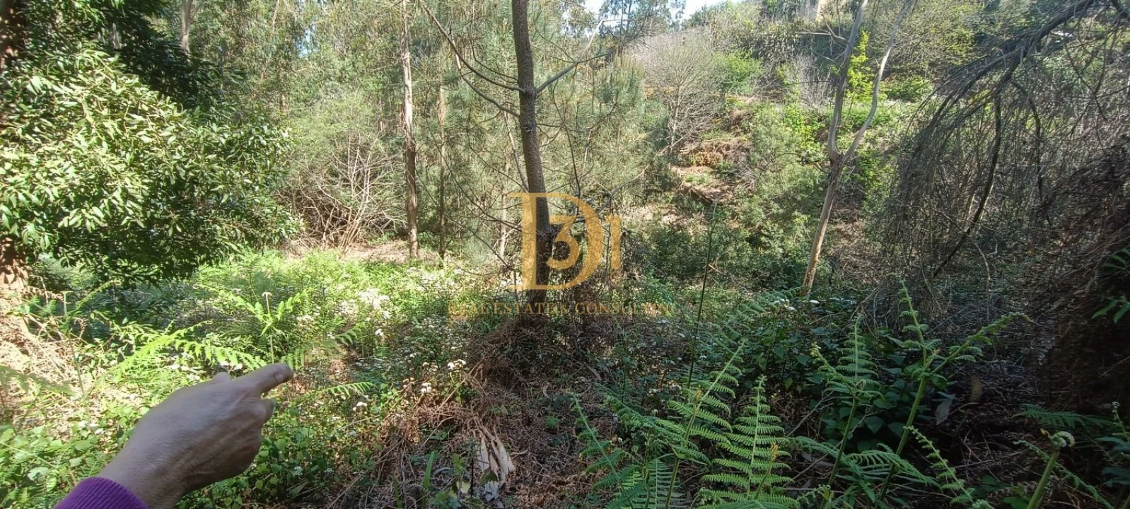 Terreno para Venda em Camacha Foto 6