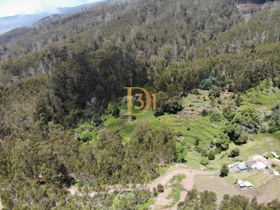 Terreno para Venda em Camacha Foto 3