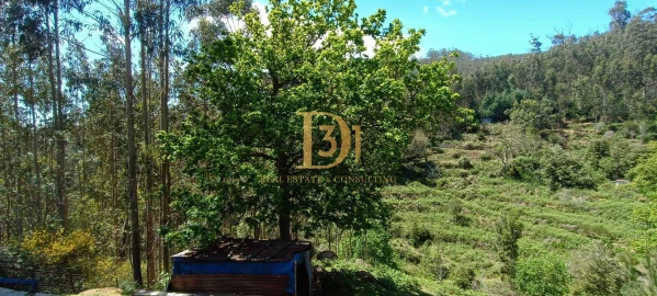 Terreno para Venda em Camacha