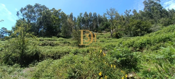 Terreno para Venda em Camacha