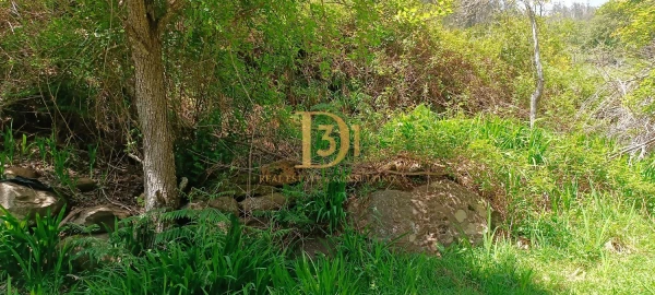 Terreno para Venda em Camacha