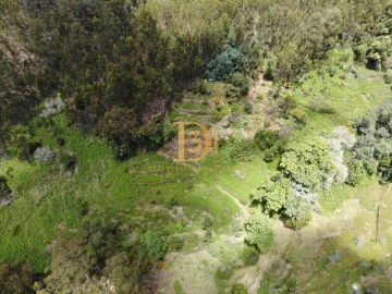 Terreno para Venda em Camacha