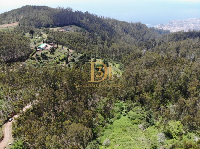 Terreno para Venda em Camacha Foto 13