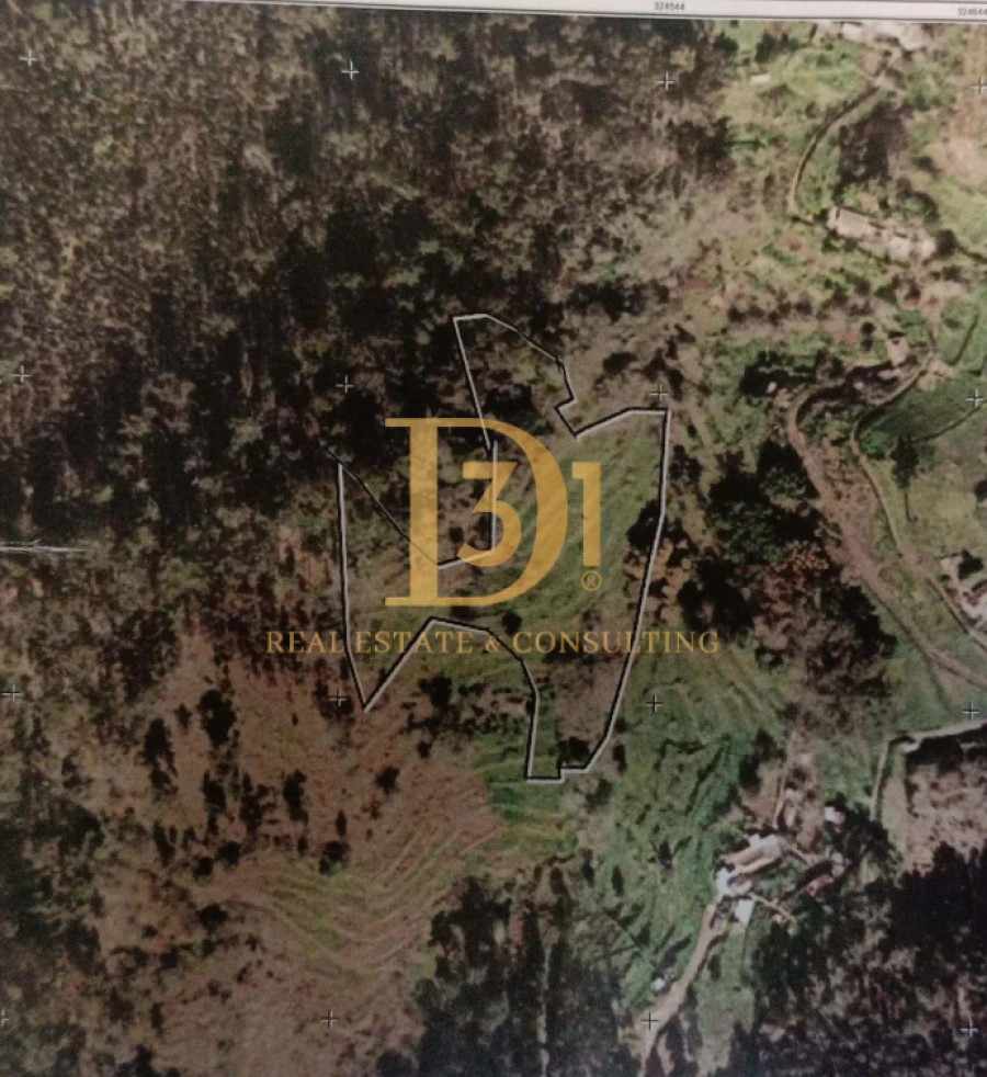 Terreno para Venda em Camacha Foto 14