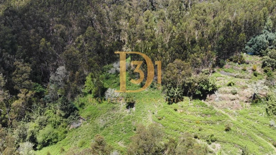 Terreno para Venda em Camacha