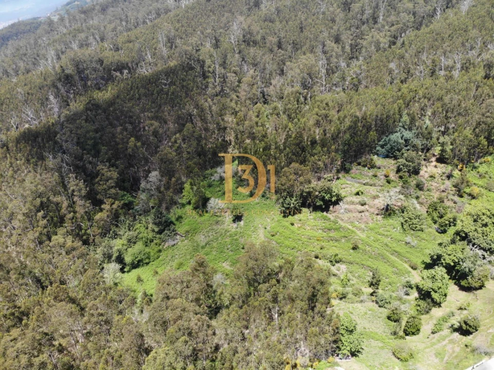 Terreno para Venda em Camacha Foto 1