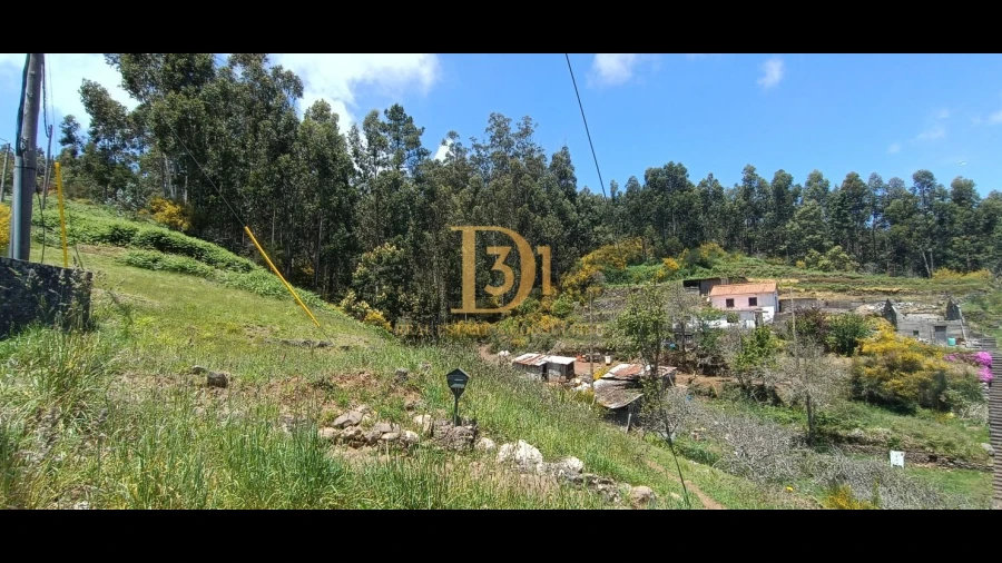 Terreno para Venda em Camacha