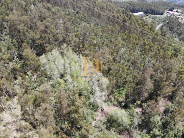 Terreno para Venda em Camacha