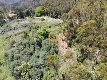 Terreno para Venda em Camacha