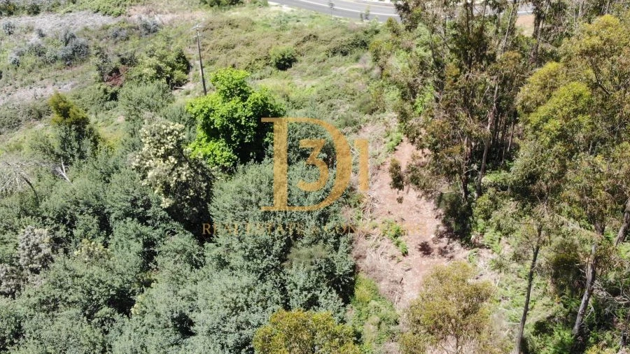 Terreno para Venda em Camacha