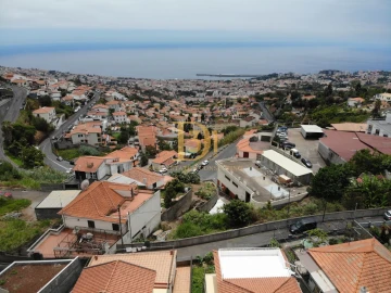 Terreno para Venda em Monte