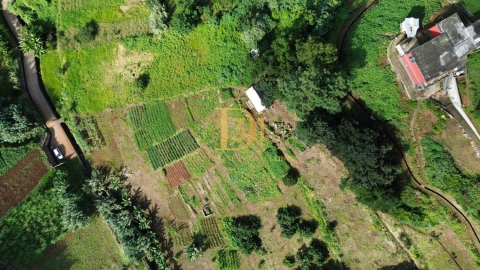Terreno para Venda em Santana