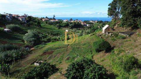 Terreno para Venda em Santana