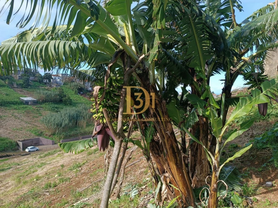 Terreno para Venda em Santana Foto 11