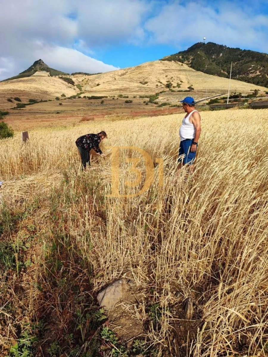 Terreno para Venda em Porto Santo Foto 2
