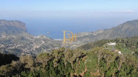 Terreno para Venda em Santo Antonio da Serra