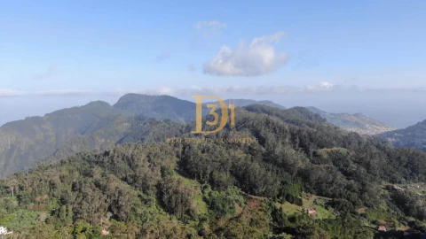 Terreno para Venda em Santo Antonio da Serra