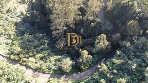 Terreno para Venda em Santo Antonio da Serra