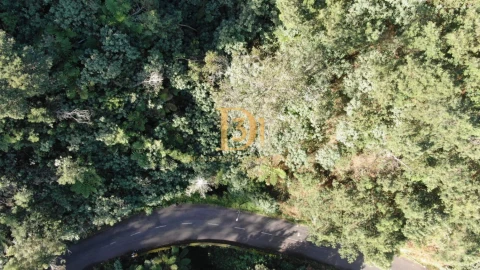 Terreno para Venda em Santo Antonio da Serra