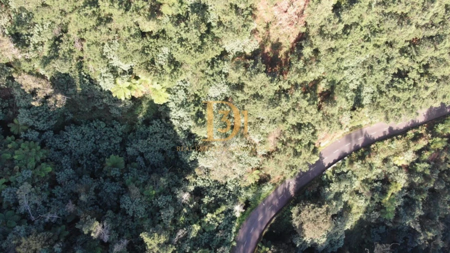 Terreno para Venda em Santo Antonio da Serra Foto 10