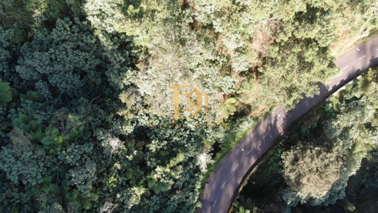 Terreno para Venda em Santo Antonio da Serra Foto 11