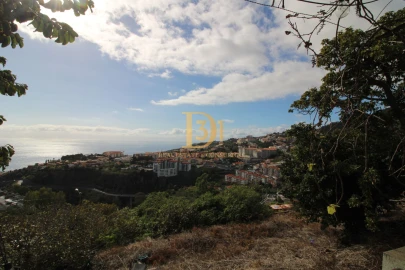 Moradia T3 para Venda em Caniço